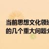 當前思想文化領域的幾個重大問題（關于當前思想文化領域的幾個重大問題介紹）