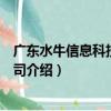 廣東水牛信息科技有限公司（關于廣東水牛信息科技有限公司介紹）