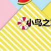 小鳥之翼（關于小鳥之翼簡介）