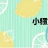 小驪龍（關于小驪龍簡介）