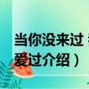 當你沒來過 我沒愛過（關于當你沒來過 我沒愛過介紹）