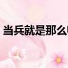 當兵就是那么帥（關于當兵就是那么帥介紹）
