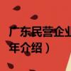 廣東民營企業四十年（關于廣東民營企業四十年介紹）
