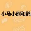 小馬小熊和鸚鵡（關于小馬小熊和鸚鵡簡介）