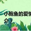 小鮑魚的愛情秘密（關于小鮑魚的愛情秘密簡介）