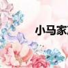 小馬家沖（關于小馬家沖簡介）