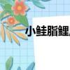 小鮭脂鯉屬（關于小鮭脂鯉屬簡介）