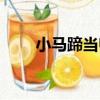小馬蹄當歸（關于小馬蹄當歸簡介）
