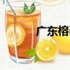 廣東榕泰（關于廣東榕泰介紹）
