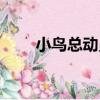 小鳥總動員（關于小鳥總動員簡介）