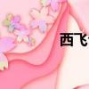 西飛公司官網（西飛公司）