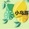 小鳥游翼（關于小鳥游翼簡介）