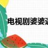 電視劇婆婆遇見媽2（電視劇婆婆遇見媽）