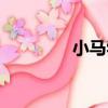 小馬勃（關于小馬勃簡介）