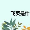 飛頁是什么東西（飛頁是什么意思）