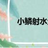 小鱗射水魚（關于小鱗射水魚簡介）