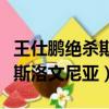 王仕鵬絕殺斯洛文尼亞具體時間（王仕鵬絕殺斯洛文尼亞）