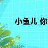 小魚兒 你好（關于小魚兒 你好簡介）