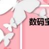 數碼寶貝大冒險（數碼神童）