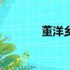 董洋鄉村愛情扮演者（董洋）