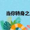 當你轉身之后（關于當你轉身之后介紹）