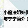 小魔法姐妹優優與寧寧（關于小魔法姐妹優優與寧寧簡介）