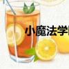 小魔法學園（關于小魔法學園簡介）