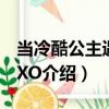 當冷酷公主遇上EXO（關于當冷酷公主遇上EXO介紹）