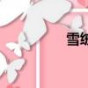 雪絨花五線譜（雪絨絨）