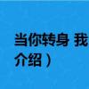 當你轉身 我已別戀（關于當你轉身 我已別戀介紹）