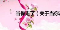 當你走了(關于當你走了介紹)