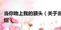 當你吻上我的額頭(關于當你吻上我的額頭介紹)