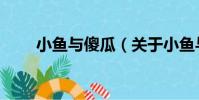 小魚與傻瓜(關于小魚與傻瓜簡介)