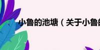 小魯的池塘(關于小魯的池塘簡介)