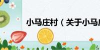 小馬莊村(關于小馬莊村簡介)