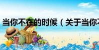 當你不在的時候(關于當你不在的時候介紹)