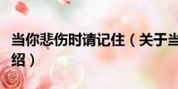 當你悲傷時請記住(關于當你悲傷時請記住介紹)