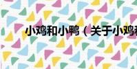 小雞和小鴨(關于小雞和小鴨簡介)