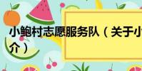 小鮑村志愿服務隊(關于小鮑村志愿服務隊簡介)