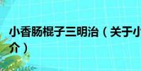 小香腸棍子三明治(關于小香腸棍子三明治簡介)