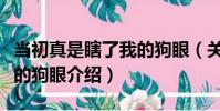 當初真是瞎了我的狗眼(關于當初真是瞎了我的狗眼介紹)