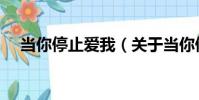 當你停止愛我(關于當你停止愛我介紹)