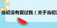 當初沒有愛過我(關于當初沒有愛過我介紹)