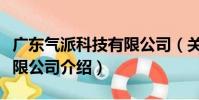 廣東氣派科技有限公司(關于廣東氣派科技有限公司介紹)