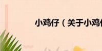 小雞仔(關于小雞仔簡介)