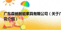 廣東森納智能家具有限公司(關于廣東森納智能家具有限公司介紹)