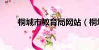 桐城市教育局網站(桐城市教育局)