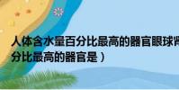人體含水量百分比最高的器官眼球腎臟肝臟(人體含水量百分比最高的器官是)