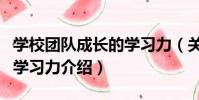 學校團隊成長的學習力(關于學校團隊成長的學習力介紹)