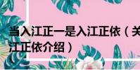 當入江正一是入江正依(關于當入江正一是入江正依介紹)